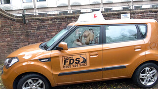 Fake Driving School - Louise Lee szereti a nagy dákót