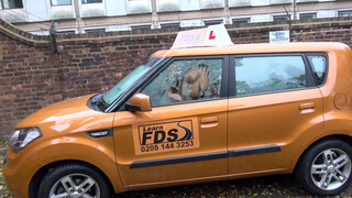 Fake Driving School - Chloe Lamour megamellei elszabadulnak