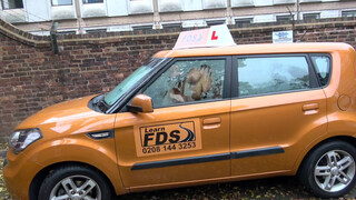 Fake Driving School - felnyírt hajú csajnak nem elég a kocsiban