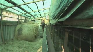 Vidéki magyar nagyik nem unatkoznak